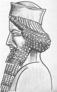 Dario I el grande Persia - Curiosidades de la Historia